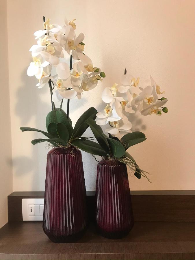 Verona Porta Borsari Relais Экстерьер фото